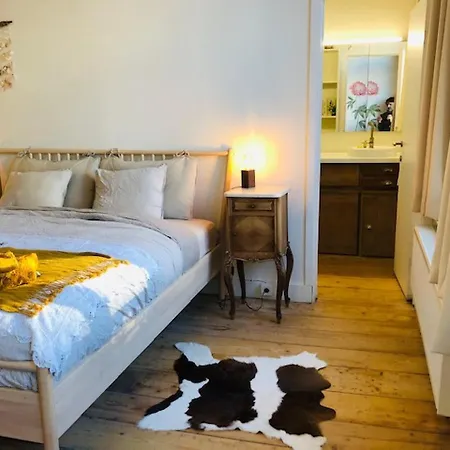 Logies Lapin Bed & Breakfast Antwerp